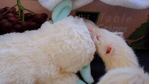Kitty back to lambchop murder.jpg