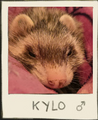 Thumbnail for version as of 00:12, 2 May 2025