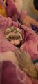 Kylo snuggling with Shaye