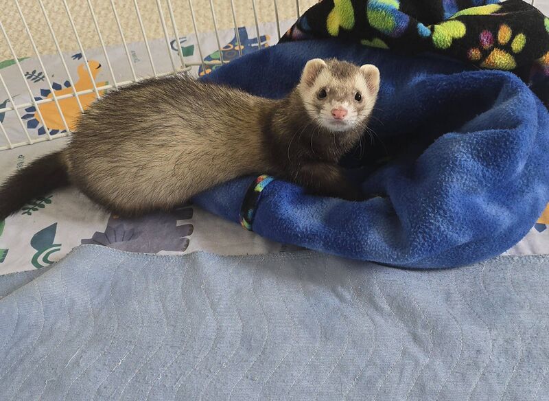 File:Milo-snuggle.jpg