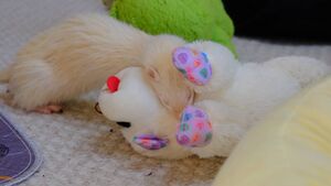 Kitty commits murder.jpg