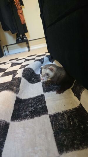 Milo-being-cute.jpg