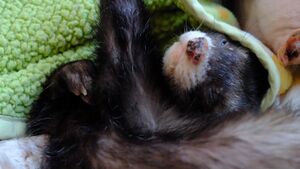 Eddie being cute.jpg