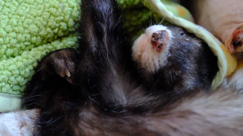 File:Eddie being cute.jpg