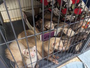 Babies-demanding-attention-3.jpg